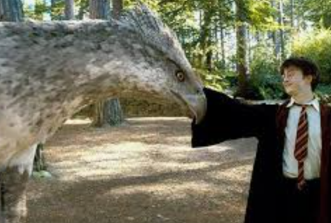 Hippogriff